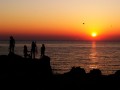 Джулая Морнинг