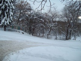 Полиция